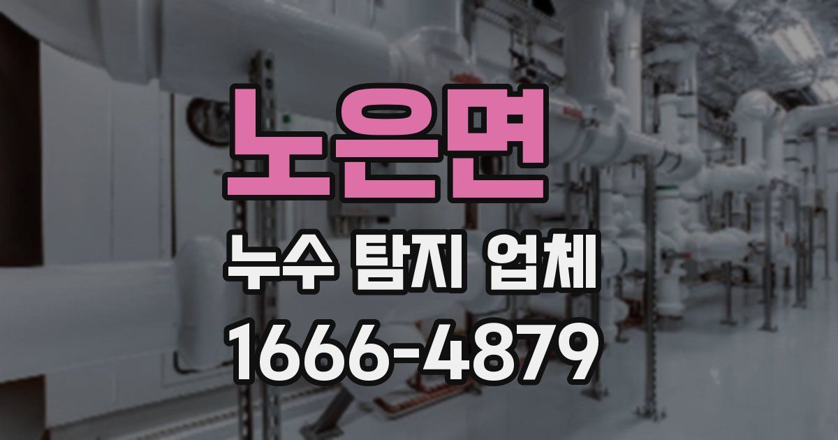 노은면 누수 탐지 업체