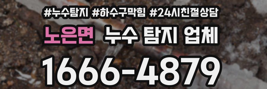 노은면 누수 탐지 업체