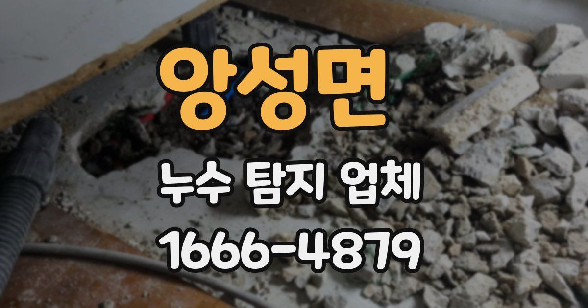 앙성면 누수 탐지 업체