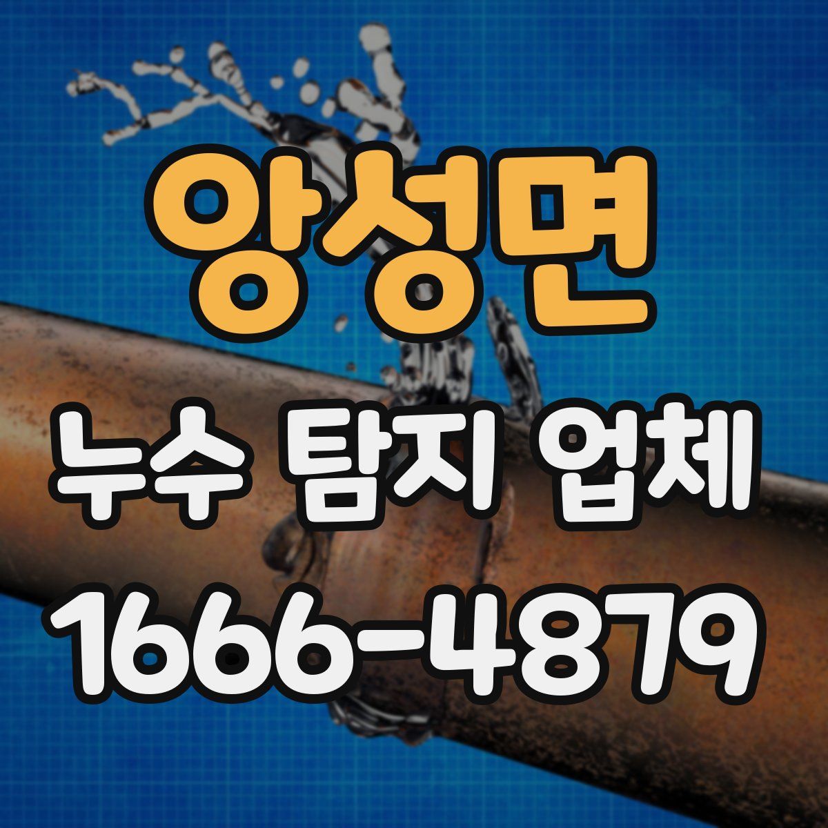 앙성면 누수 탐지 업체