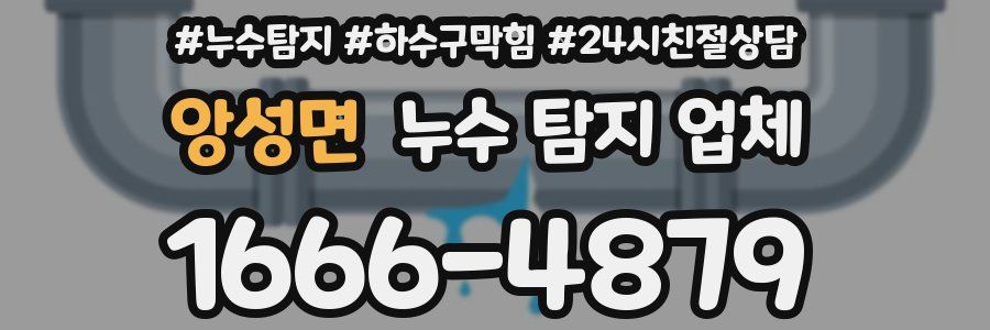 앙성면 누수 탐지 업체
