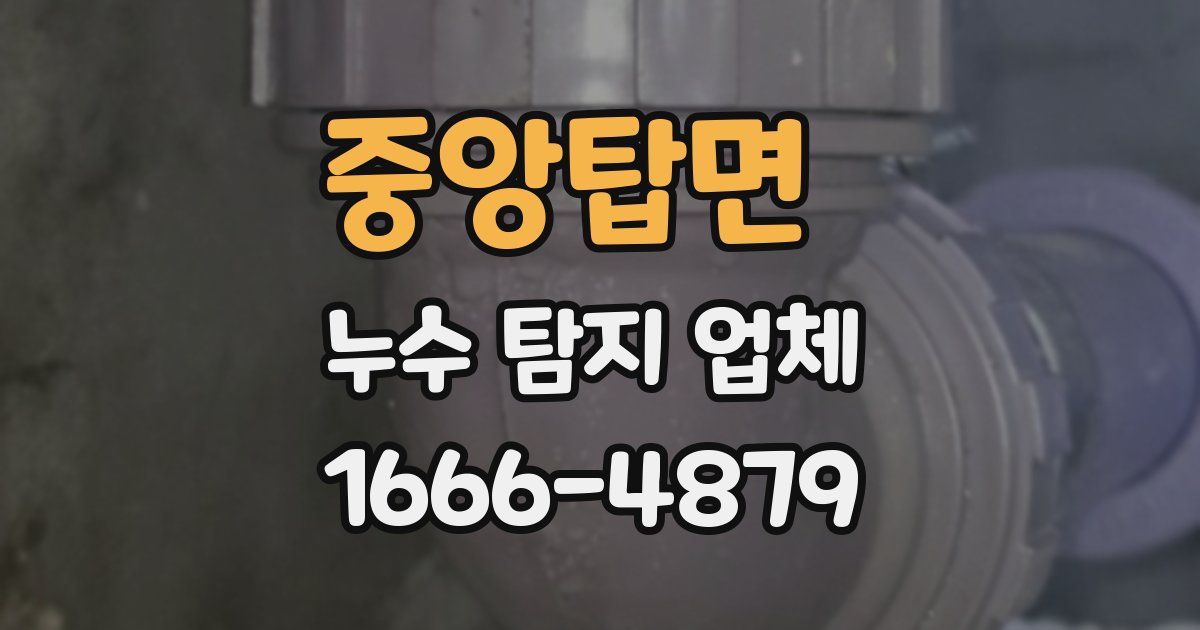 중앙탑면 누수 탐지 업체
