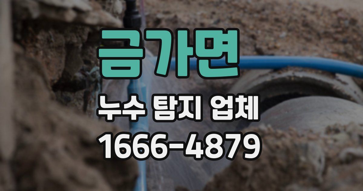 금가면 누수 탐지 업체