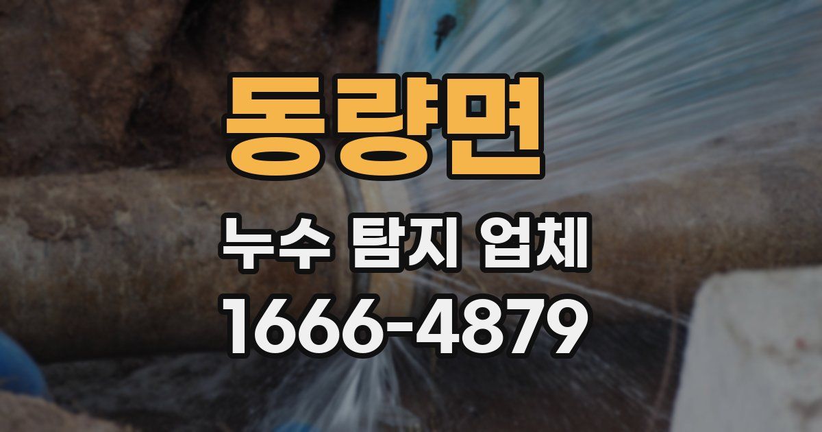 동량면 누수 탐지 업체