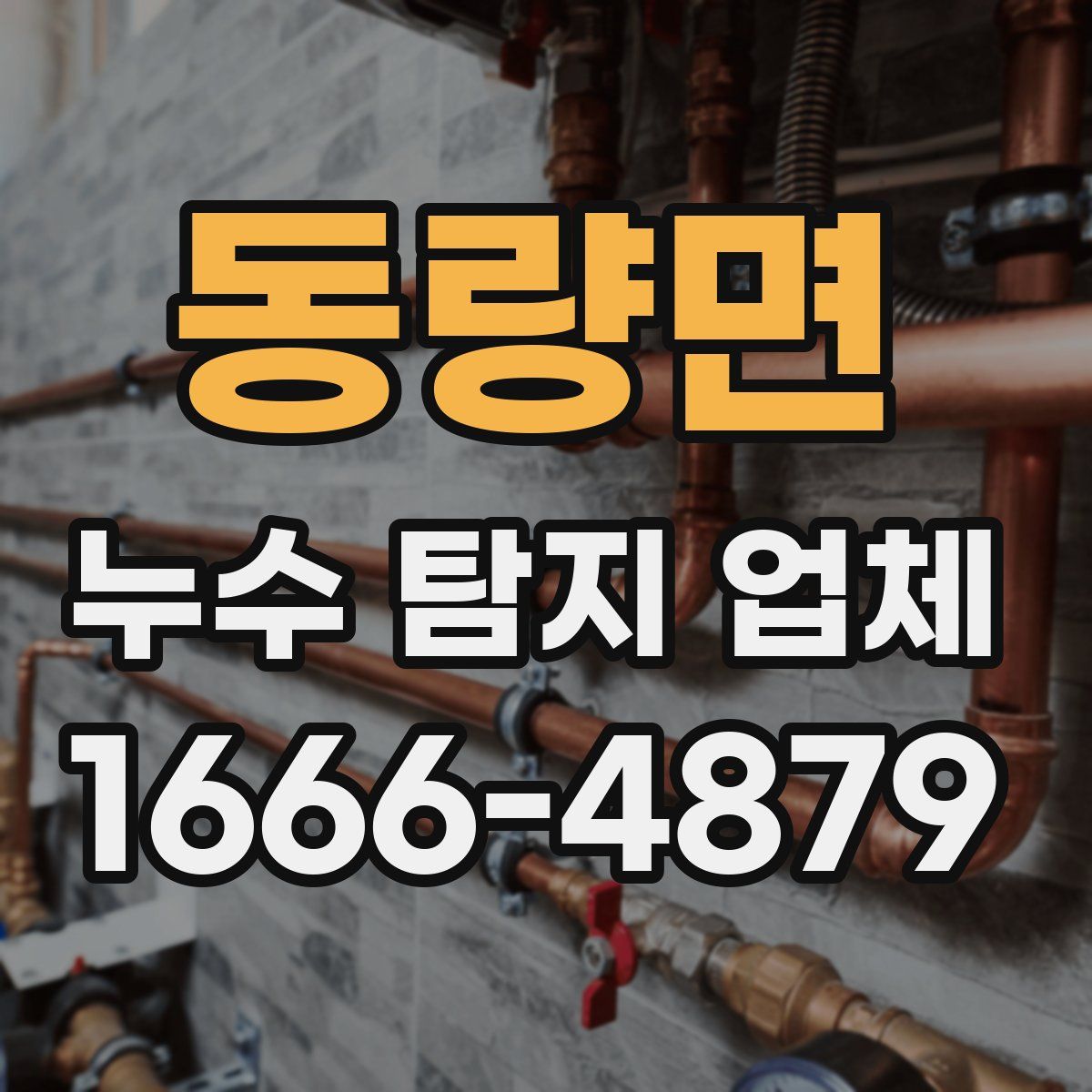 동량면 누수 탐지 업체