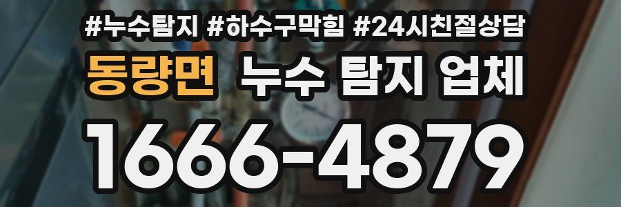 동량면 누수 탐지 업체