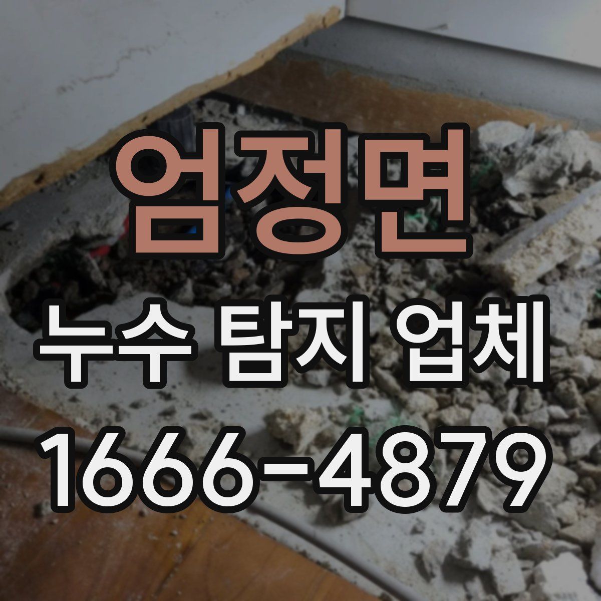 엄정면 누수 탐지 업체