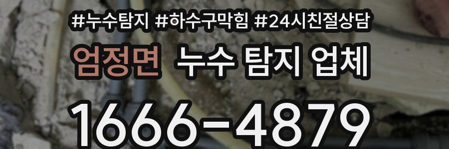엄정면 누수 탐지 업체
