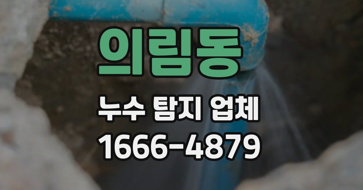 의림동 누수 탐지 업체