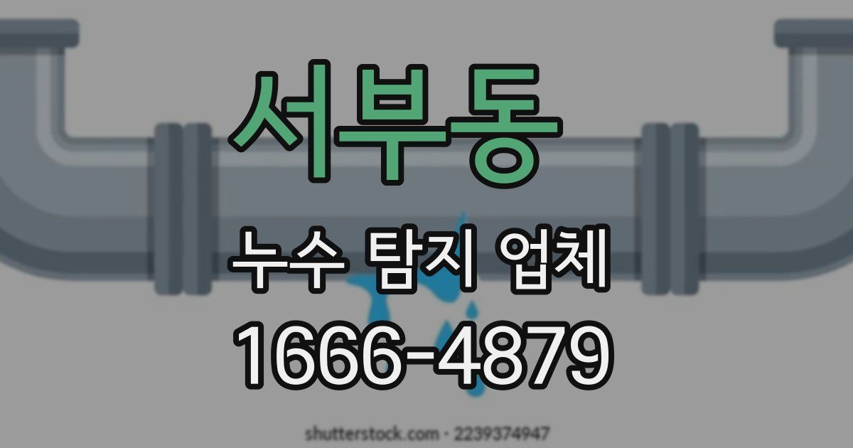 서부동 누수 탐지 업체