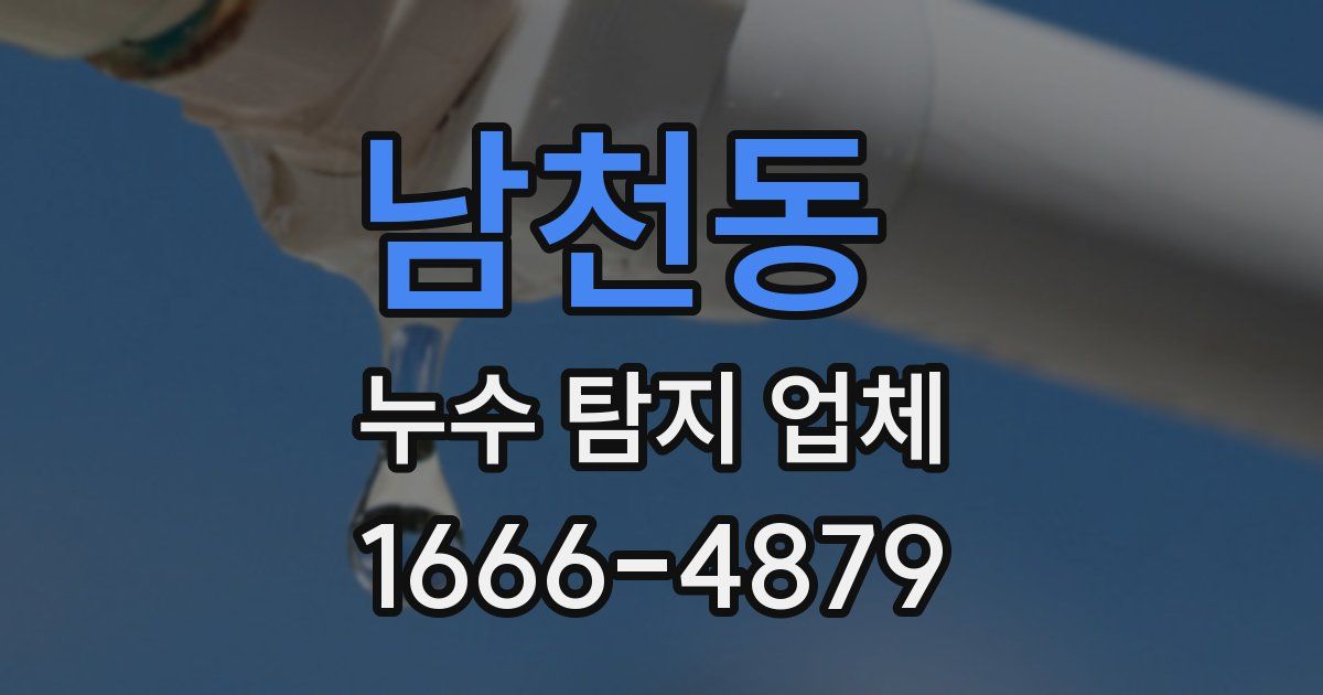 남천동 누수 탐지 업체
