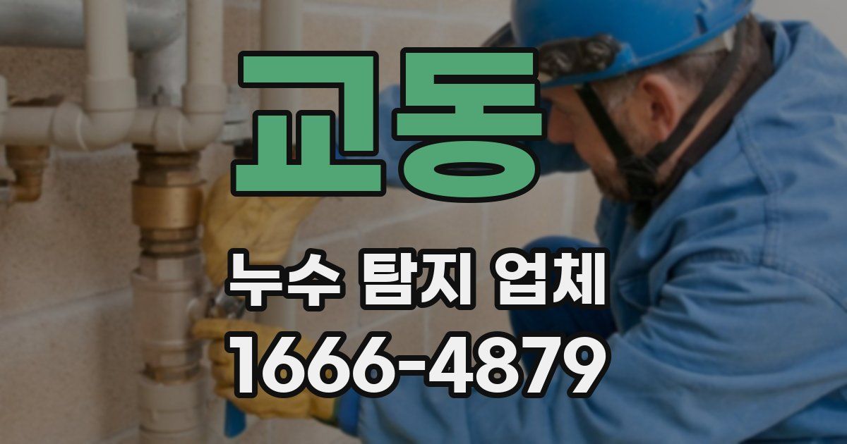 교동 누수 탐지 업체