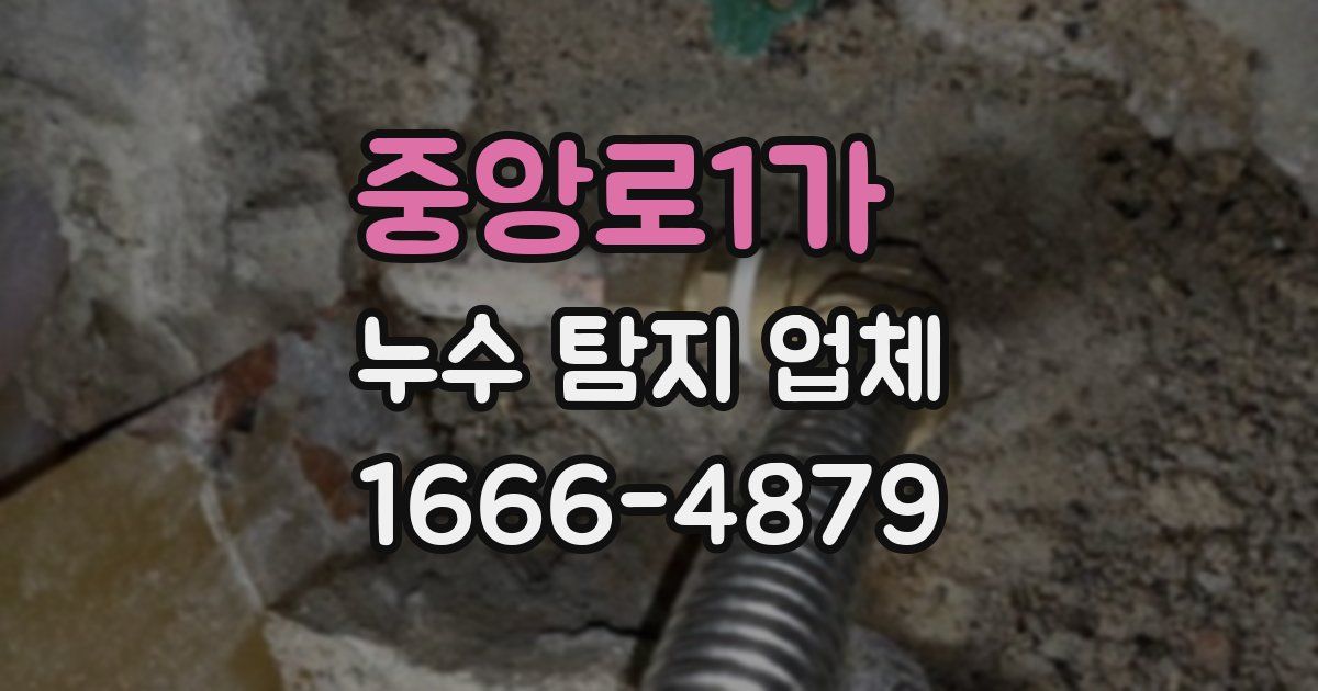 중앙로1가 누수 탐지 업체