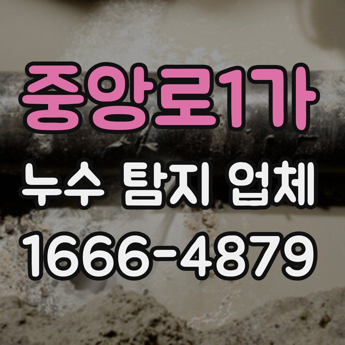 중앙로1가 누수 탐지 업체