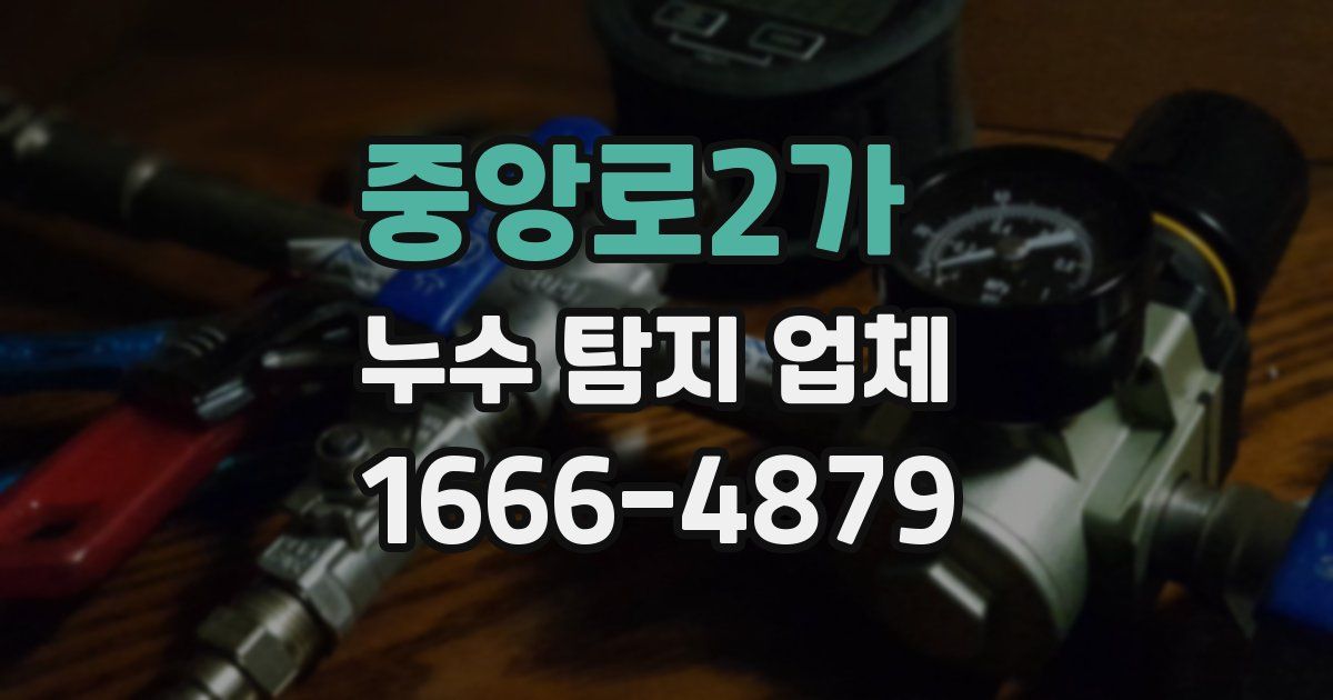 중앙로2가 누수 탐지 업체