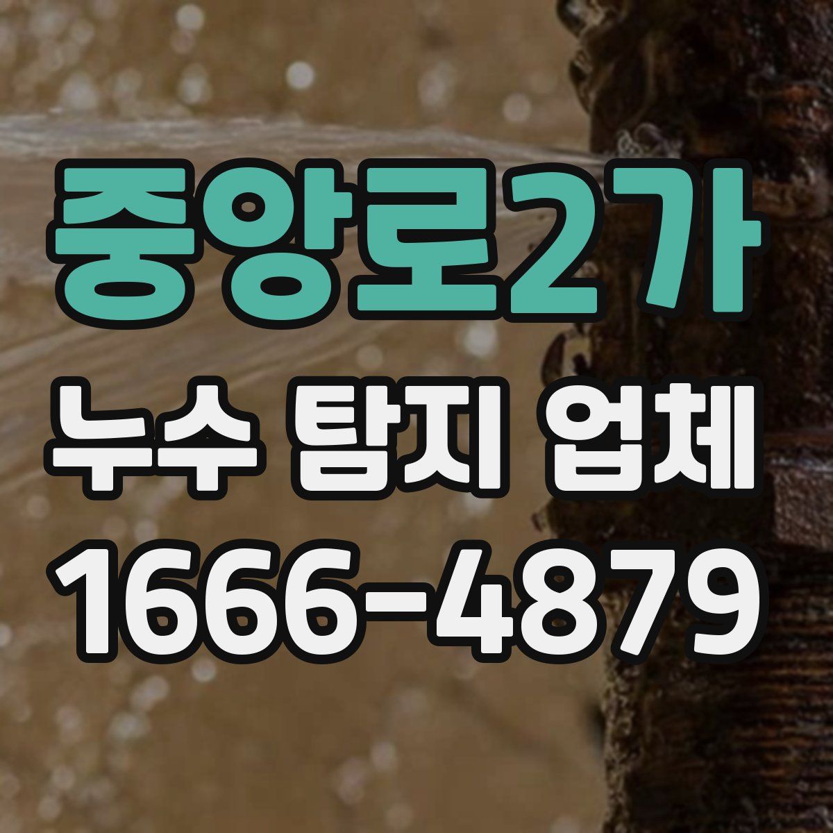 중앙로2가 누수 탐지 업체