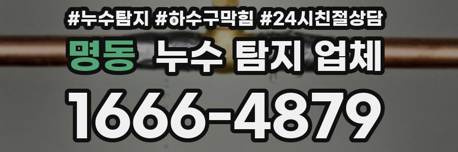 명동 누수 탐지 업체