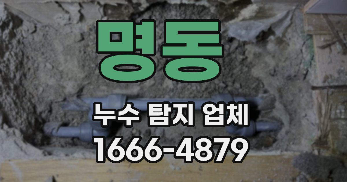 명동 누수 탐지 업체
