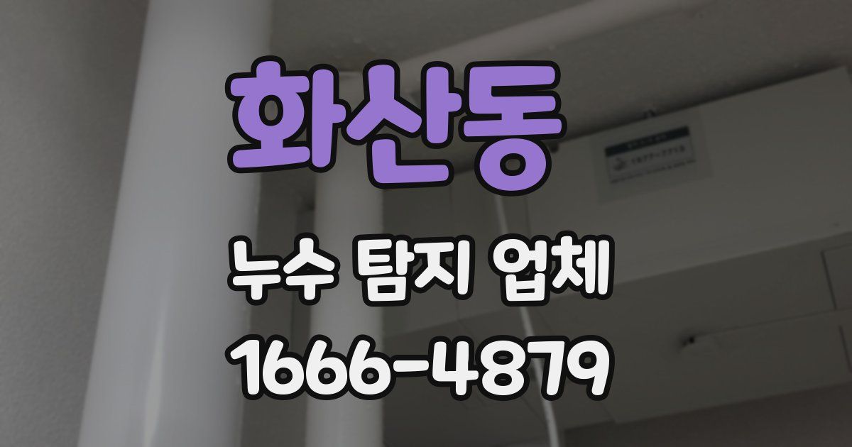 화산동 누수 탐지 업체