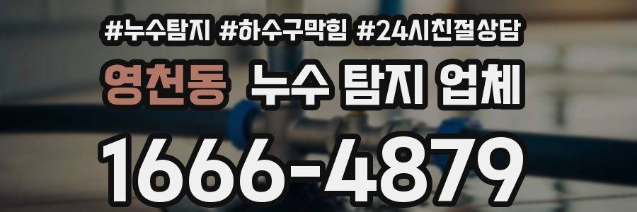 영천동 누수 탐지 업체