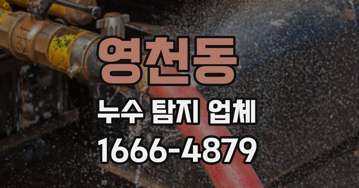 영천동 누수 탐지 업체