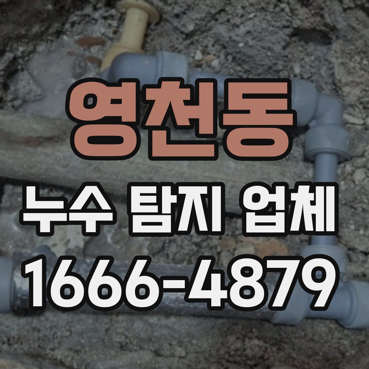 영천동 누수 탐지 업체