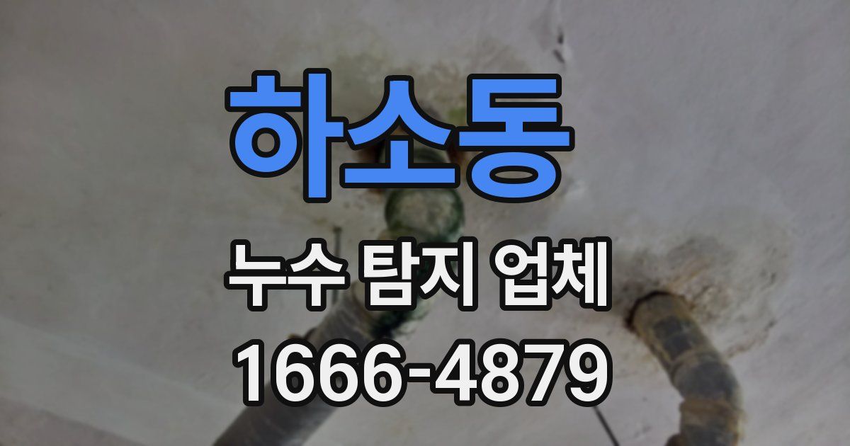 하소동 누수 탐지 업체