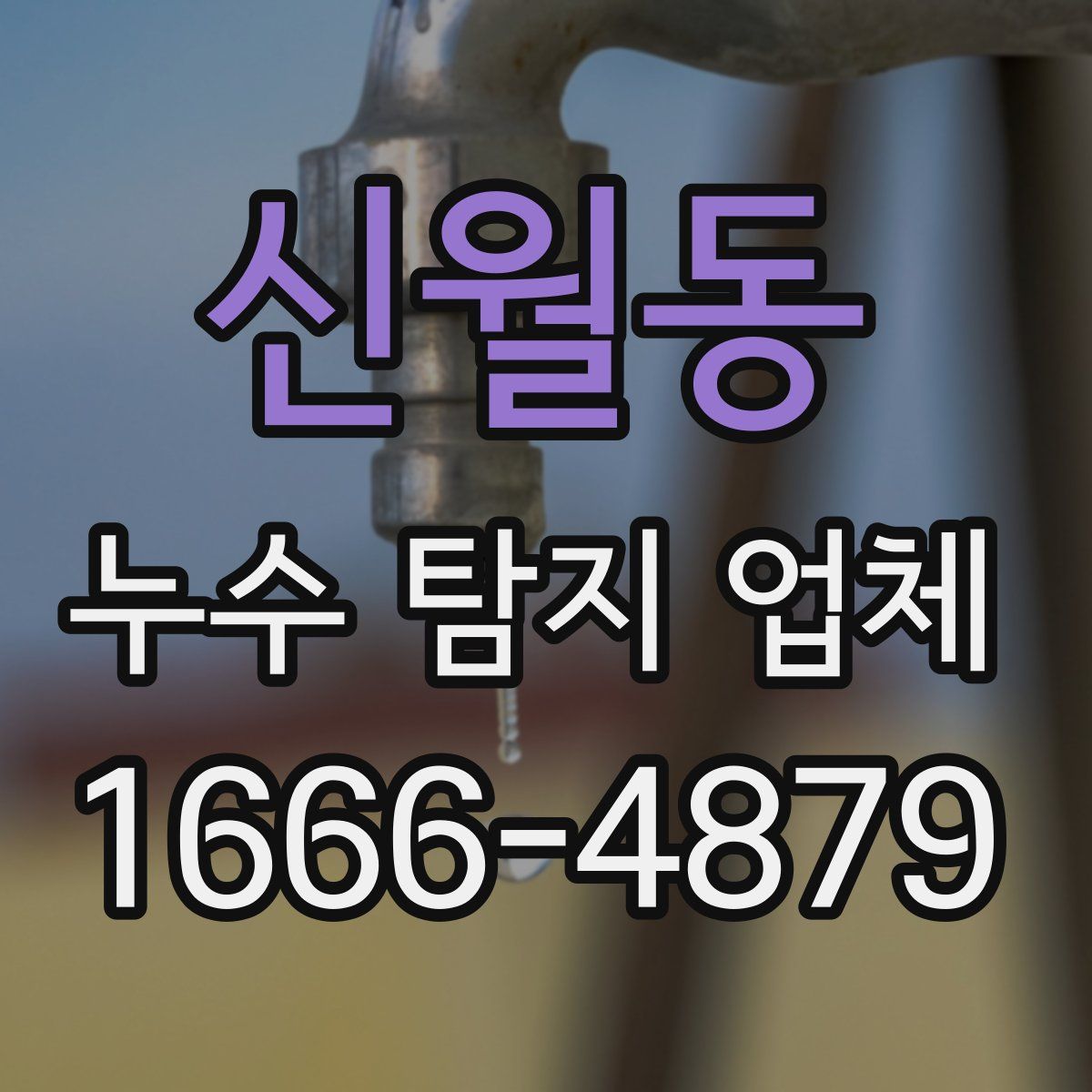 신월동 누수 탐지 업체