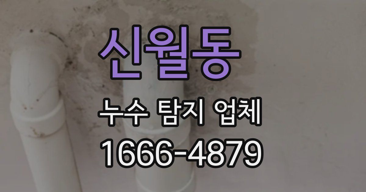 신월동 누수 탐지 업체