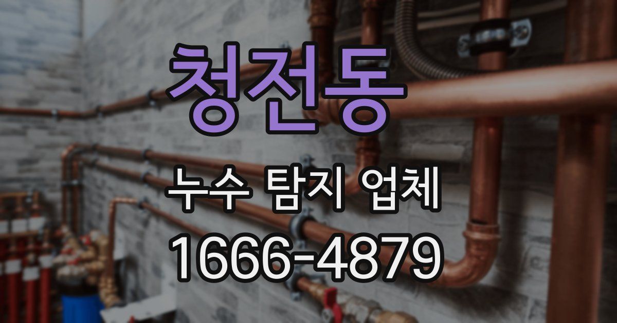 청전동 누수 탐지 업체