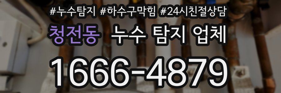 청전동 누수 탐지 업체