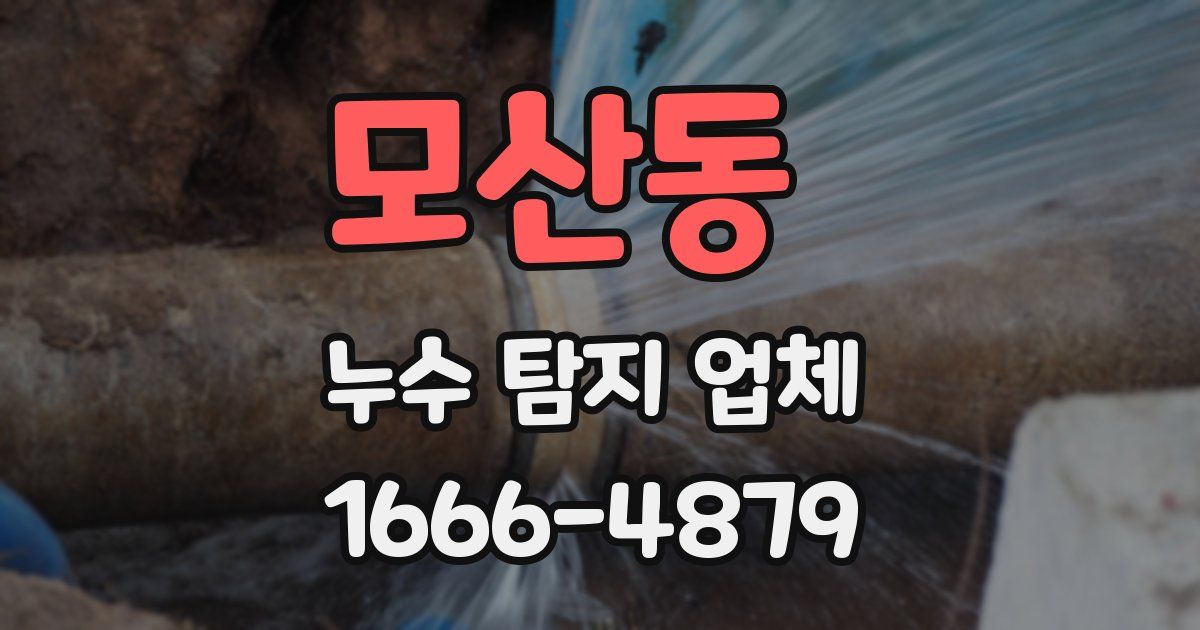 모산동 누수 탐지 업체