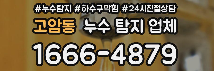 고암동 누수 탐지 업체