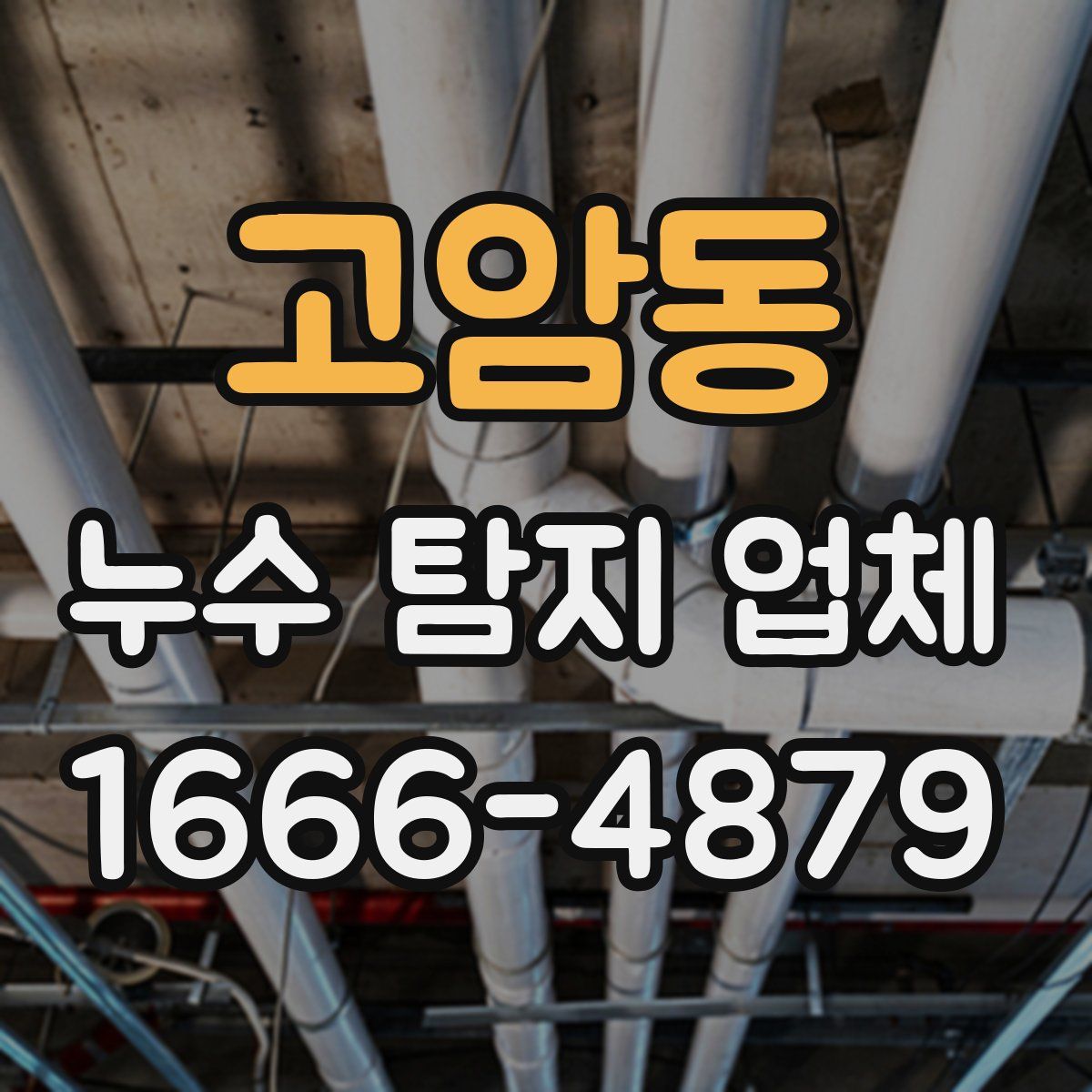 고암동 누수 탐지 업체