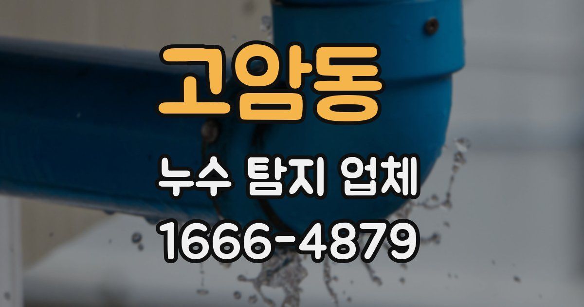 고암동 누수 탐지 업체