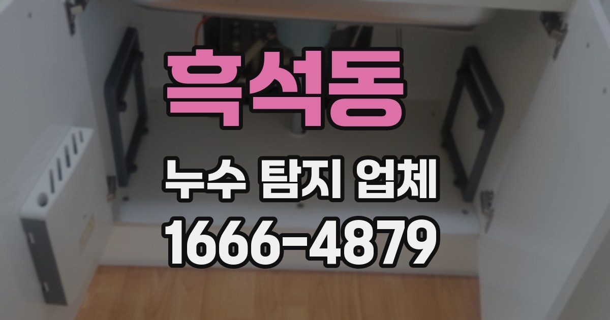 흑석동 누수 탐지 업체