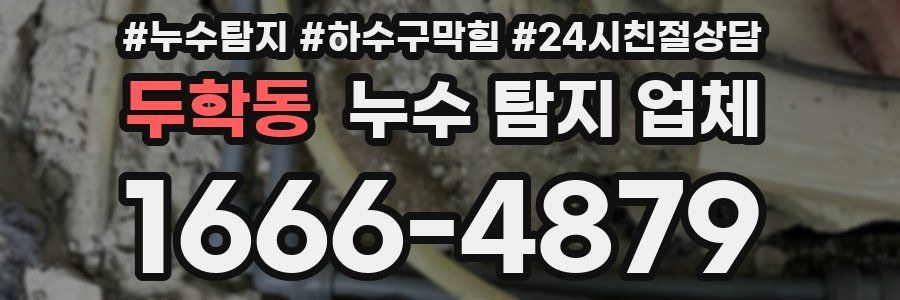 두학동 누수 탐지 업체