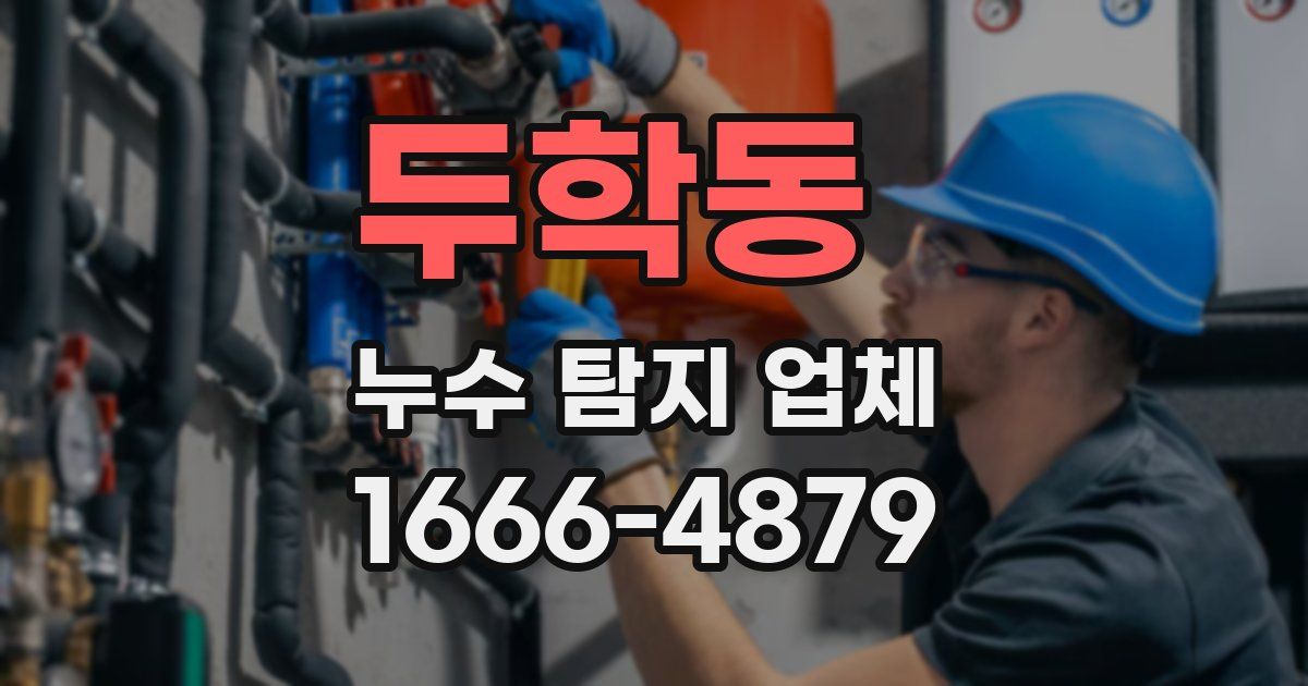 두학동 누수 탐지 업체