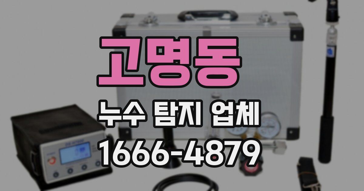 고명동 누수 탐지 업체