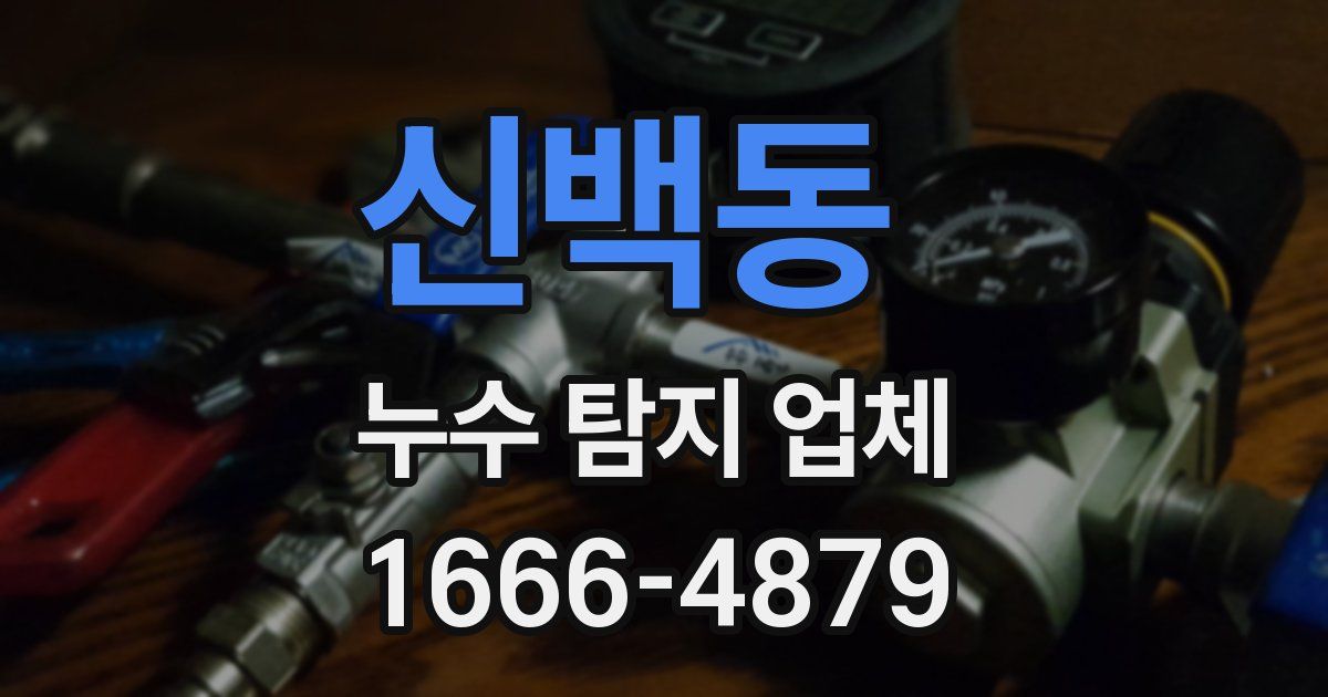 신백동 누수 탐지 업체