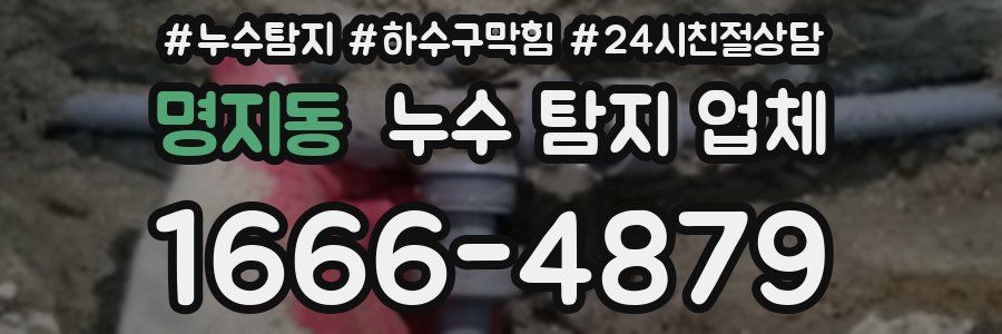 명지동 누수 탐지 업체