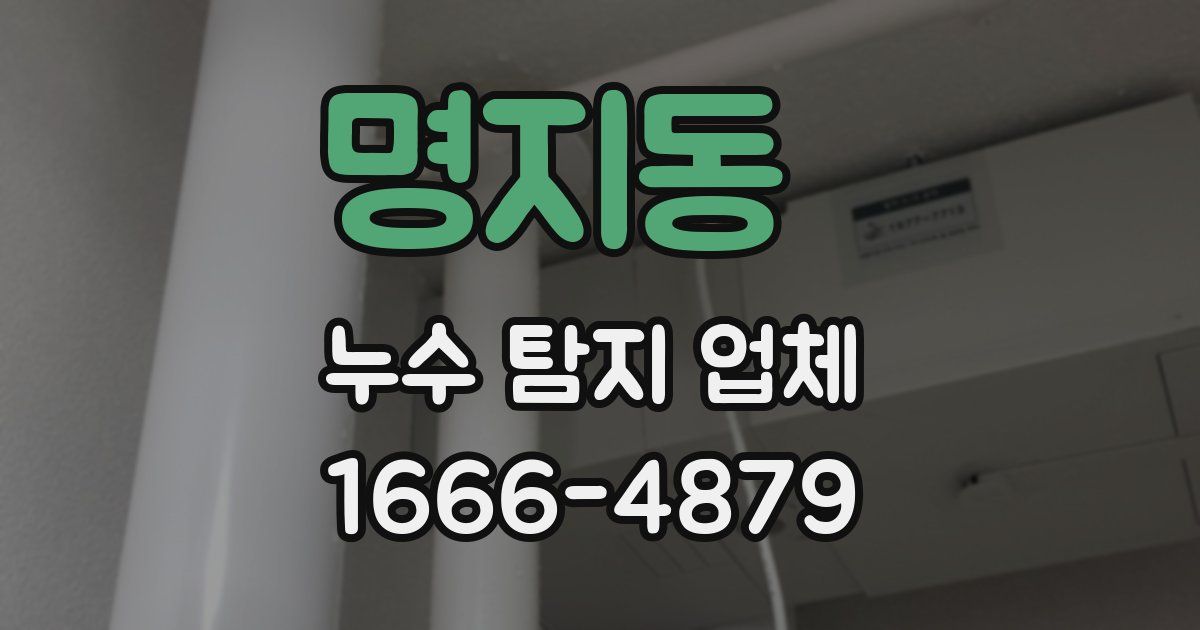 명지동 누수 탐지 업체