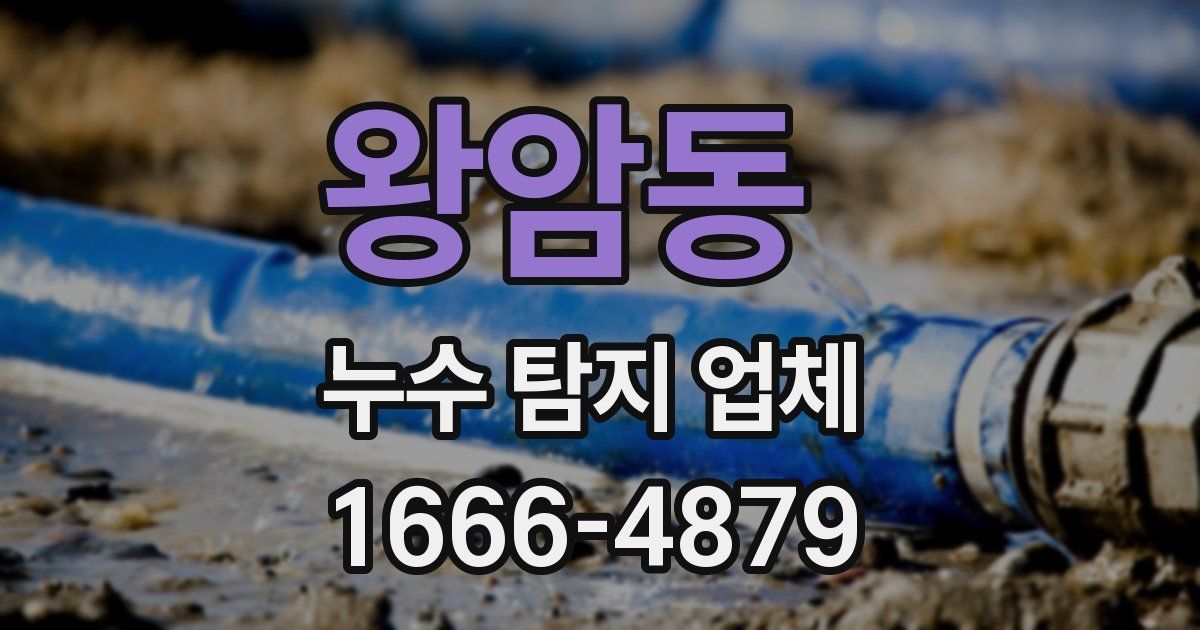 왕암동 누수 탐지 업체