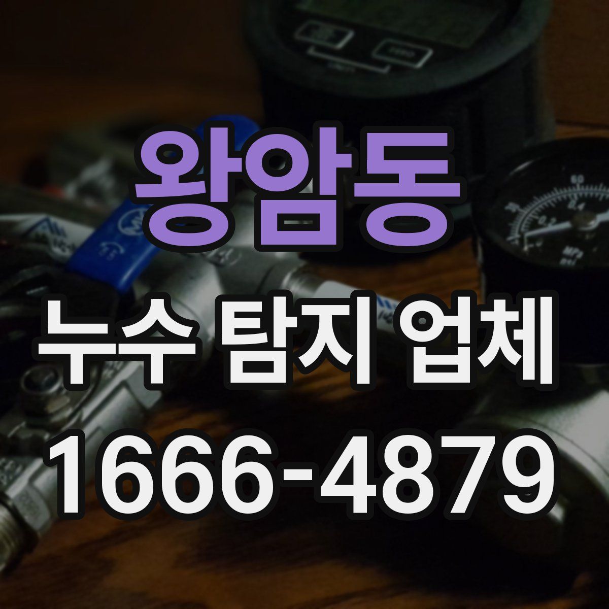 왕암동 누수 탐지 업체