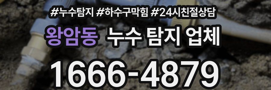 왕암동 누수 탐지 업체