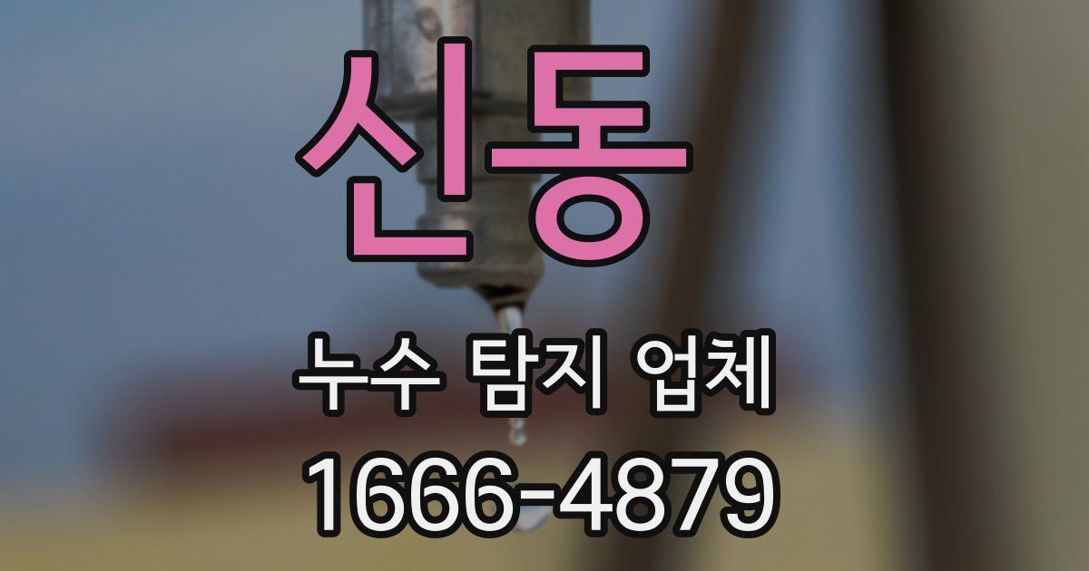 신동 누수 탐지 업체
