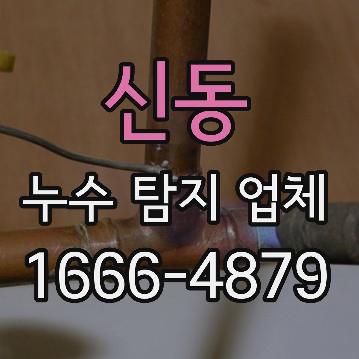 신동 누수 탐지 업체