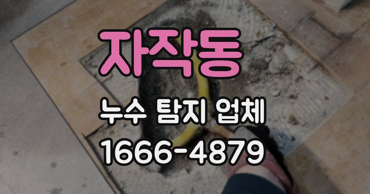 자작동 누수 탐지 업체