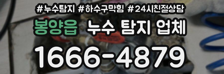 봉양읍 누수 탐지 업체