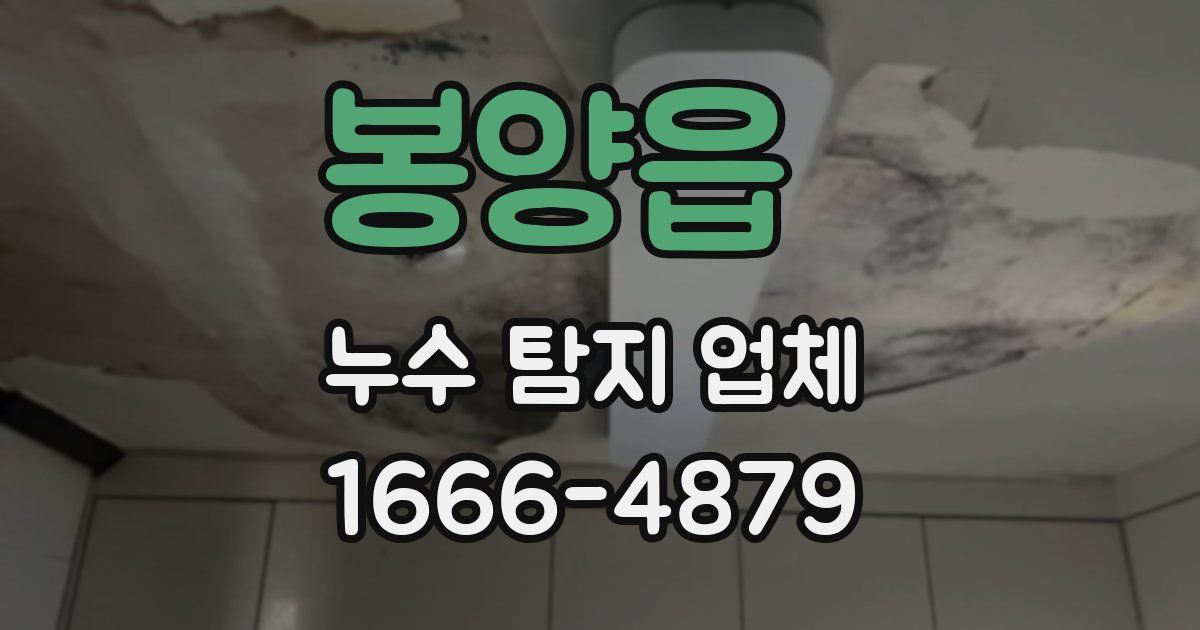 봉양읍 누수 탐지 업체